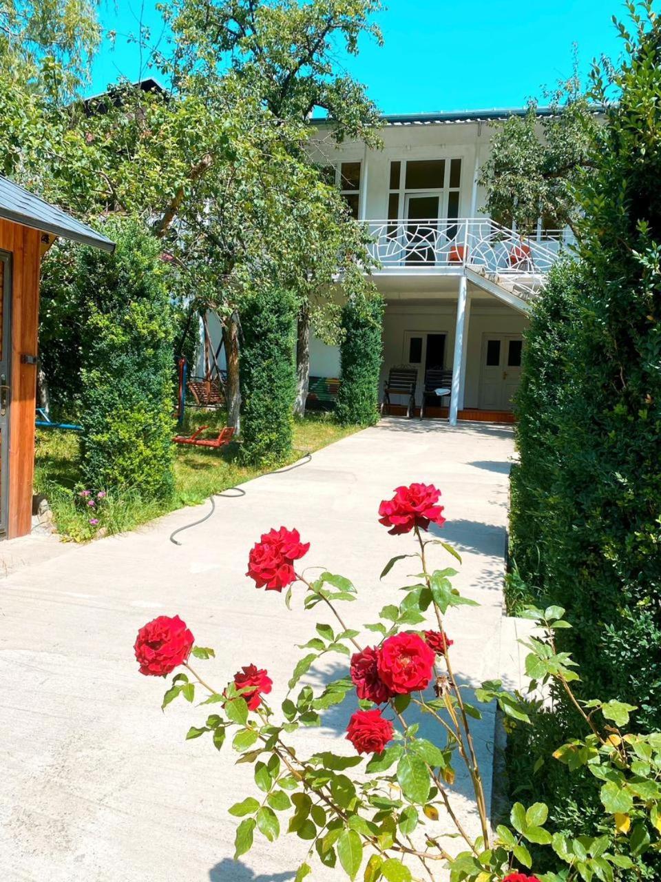 Green Garden Villa Dilidzjan Buitenkant foto